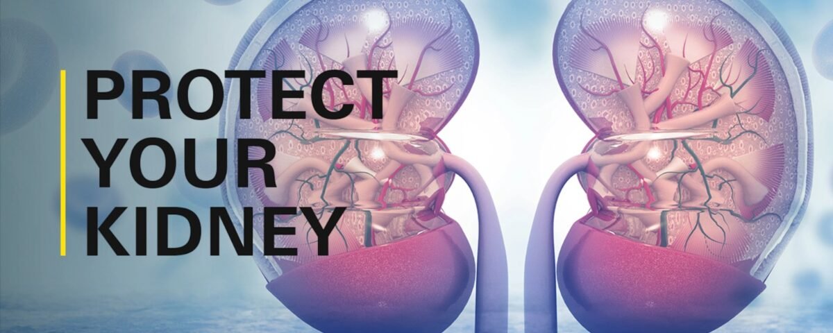 How to protect your kidneys and lower the risk of kidney failure guide
