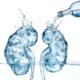 Water Intake for Kidney Patients