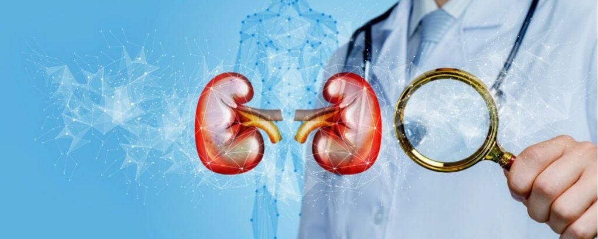 Kidney Function Test