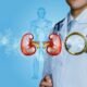 Kidney Function Test