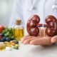 Kidney Function Test