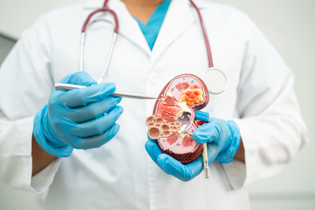 When Should Kidney Function Be Checked?