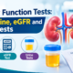 kidney function tests